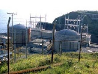 LEMONIZ 04  ECOLOGIA